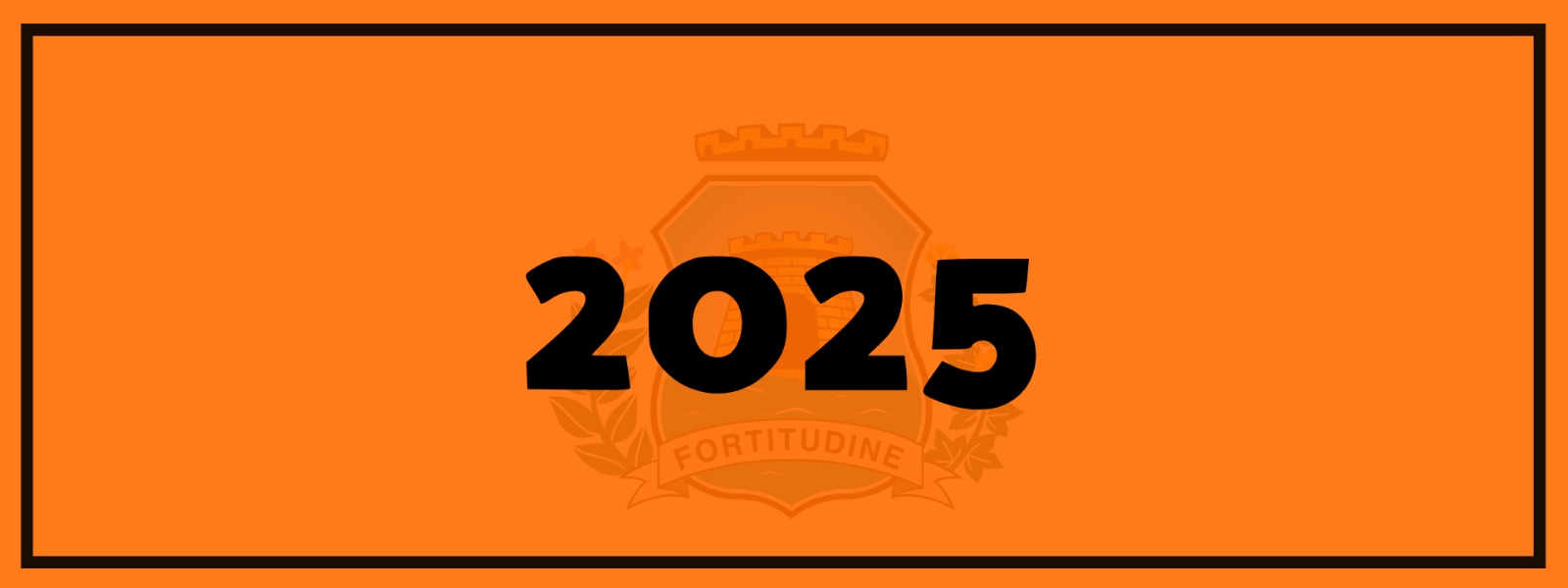 2025 FMDPI